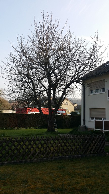 Hier einige Beispiele unser Arbeiten