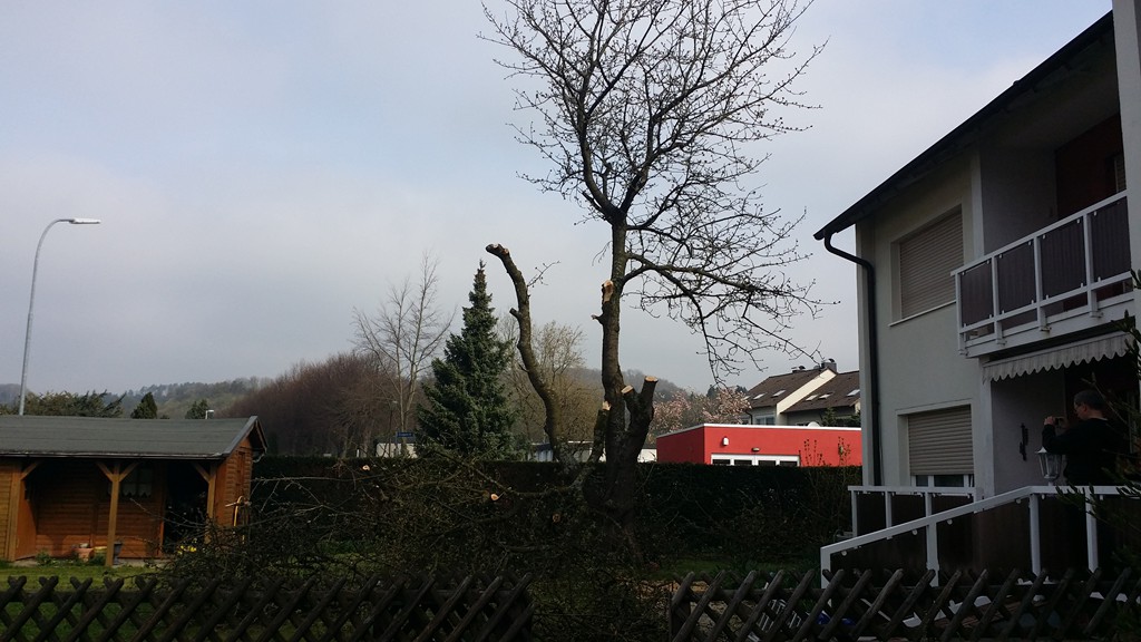 Hier einige Beispiele unser Arbeiten
